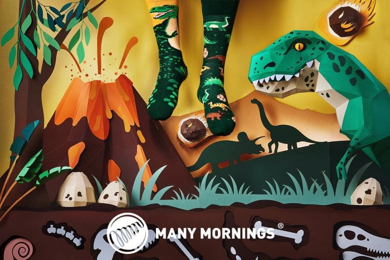 many-mornings-skarpetki-regular-the-dinosaurs-polkabubu-3.jpg