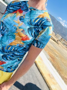 T-shirt MĘSKI Classic MONSTERA BLUE Hey Popinjay!