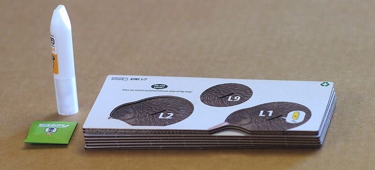eugy-eko-ukladanka-3d-ptak-kiwi-polkabubu-7.jpg