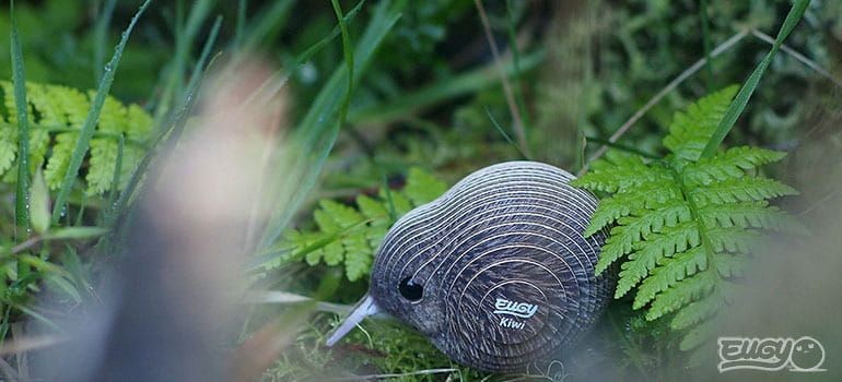eugy-eko-ukladanka-3d-ptak-kiwi-polkabubu-8.jpg