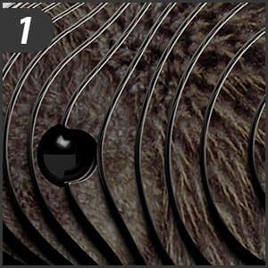 eugy-eko-ukladanka-3d-ptak-kiwi-polkabubu-10.jpg