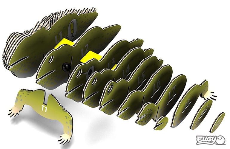 eugy-eko-ukladanka-3d-lupkozab-polkabubu-3.jpg