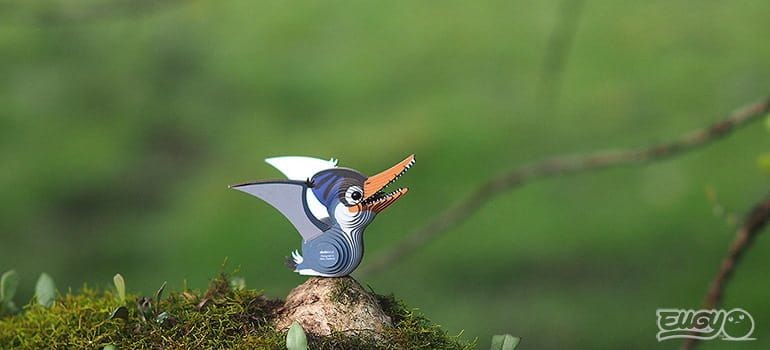 eugy-eko-ukladanka-3d-pterodaktyl-polkabubu-10.jpg
