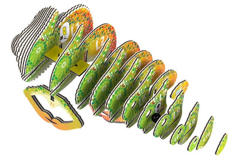 eugy-eko-ukladanka-3d-kameleon-polkabubu-6.jpg