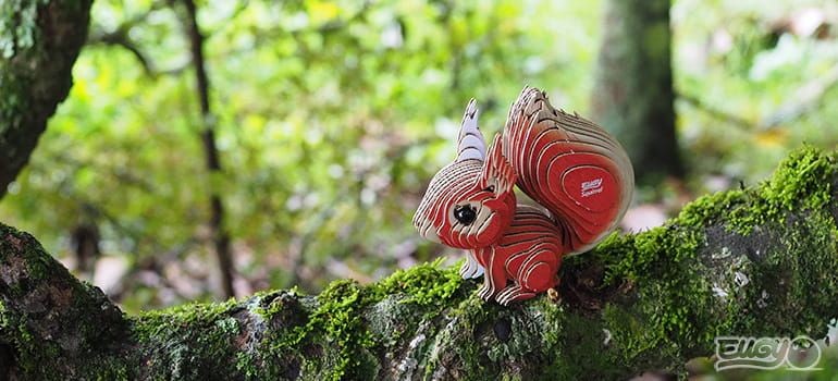 eugy-eko-ukladanka-3d-wiewiorka-syberyjska-polkabubu-10.jpg