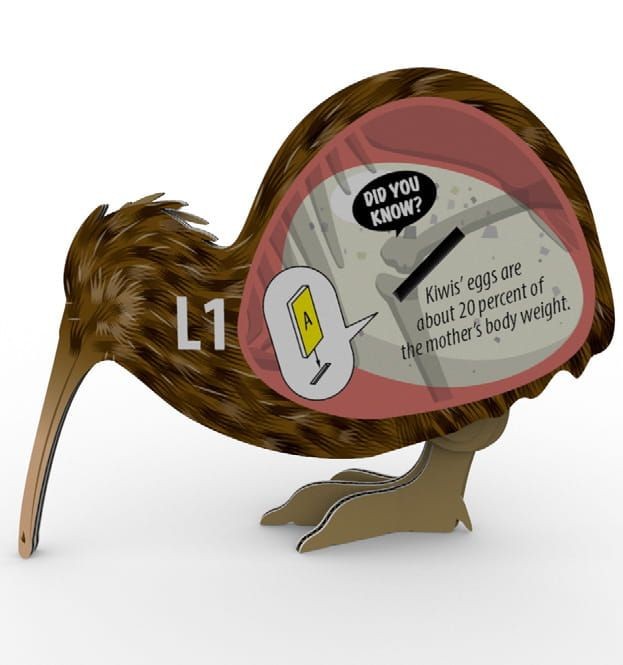 eugy-eko-ukladanka-3d-brozowy-kiwi-polkabubu-3.jpg