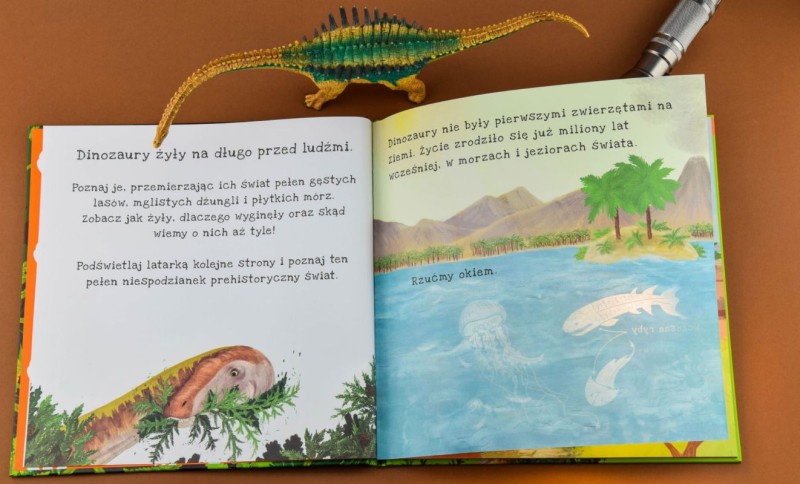 api-papi-ksiazka-dinozaury-polkabubu-3.jpg
