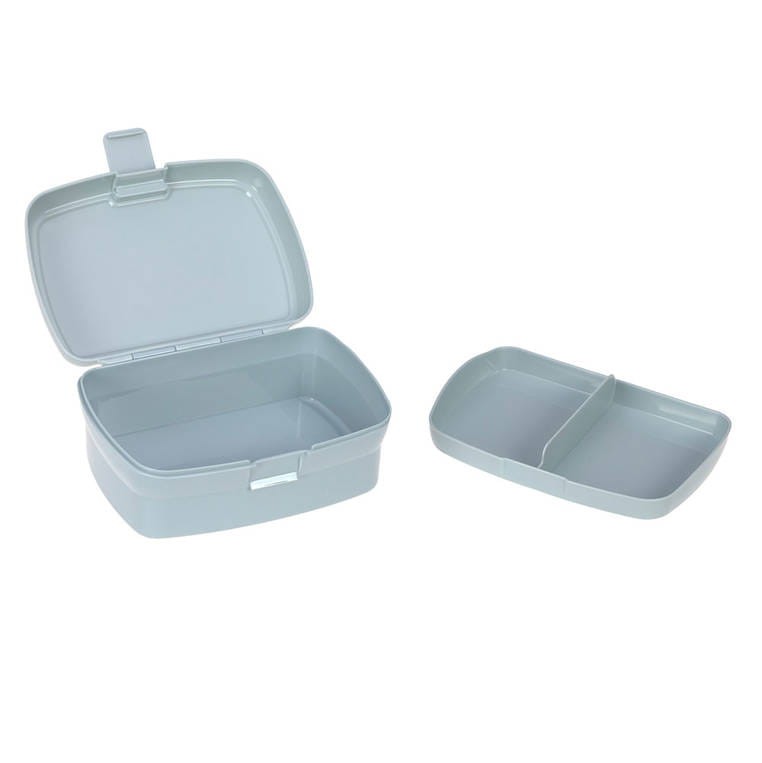 Lassig-Zestaw-na-lunch-Lunchbox-Tritanowa-butelka-bidon-460-ml-About-Friends-Dinozaur-polkabubu-3.jpg