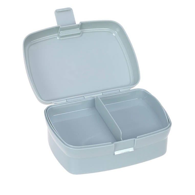 Lassig-Zestaw-na-lunch-Lunchbox-Tritanowa-butelka-bidon-460-ml-About-Friends-Dinozaur-polkabubu-9.jpg