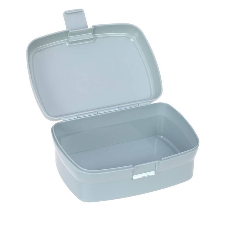 Lassig-Zestaw-na-lunch-Lunchbox-Tritanowa-butelka-bidon-460-ml-About-Friends-Dinozaur-polkabubu-10.jpg