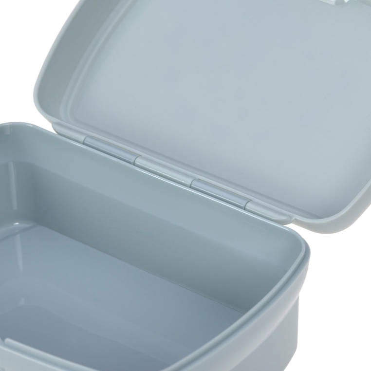 Lassig-Zestaw-na-lunch-Lunchbox-Tritanowa-butelka-bidon-460-ml-About-Friends-Dinozaur-polkabubu-11.jpg