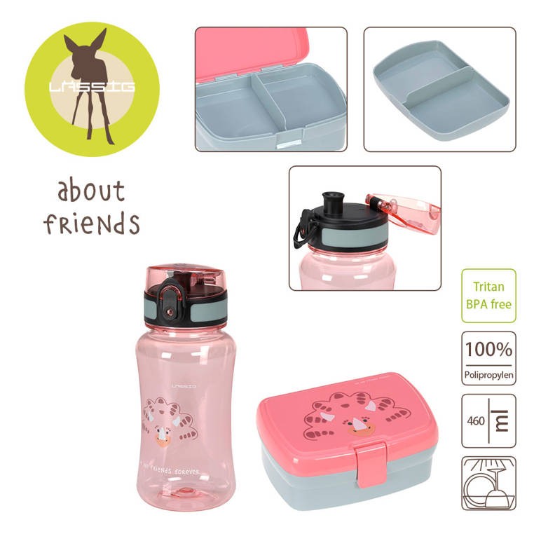 Lassig-Zestaw-na-lunch-Lunchbox-Tritanowa-butelka-bidon-460-ml-About-Friends-Dinozaur-rozowy-polkabubu-2.jpg