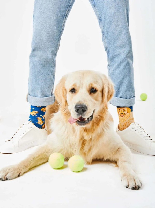 many-mornings-skarpetki-regular-golden-boy-polkabubu-4.jpg