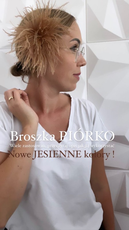broszka-piorka.jpg