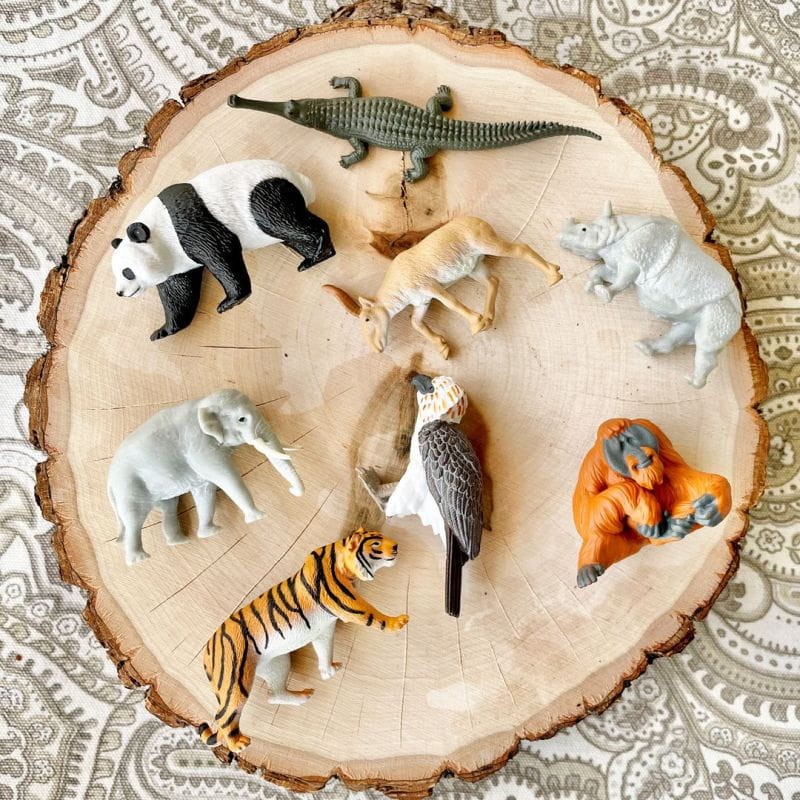 safari-ltd-zestaw-figurek-zwierzeta-azji-polkabubu-1.jpg