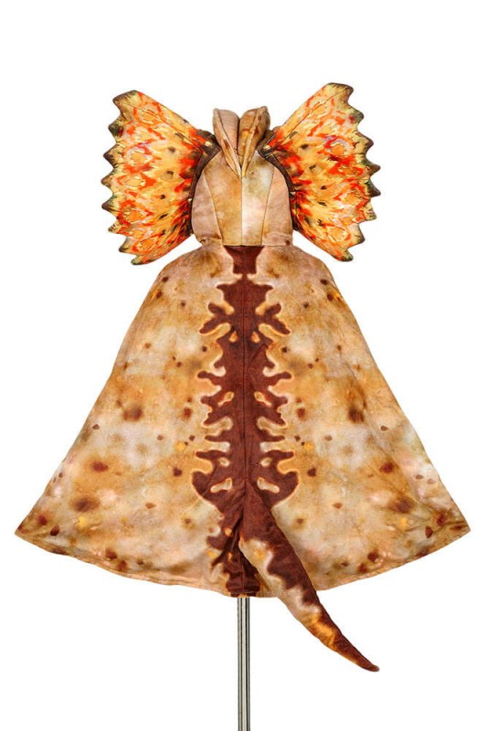 Souza-Kostium-peleryna-z-kapturem-maska-dinozaur-Dilofozaur-polkabubu-6.jpg