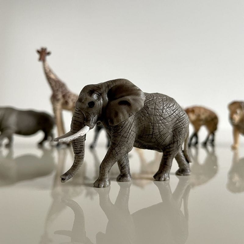 safari-figurki-Produktowe-1-polkabubu-2.jpg