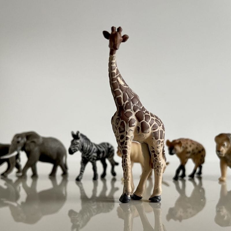 safari-figurki-Produktowe-3-polkabubu-4.jpg