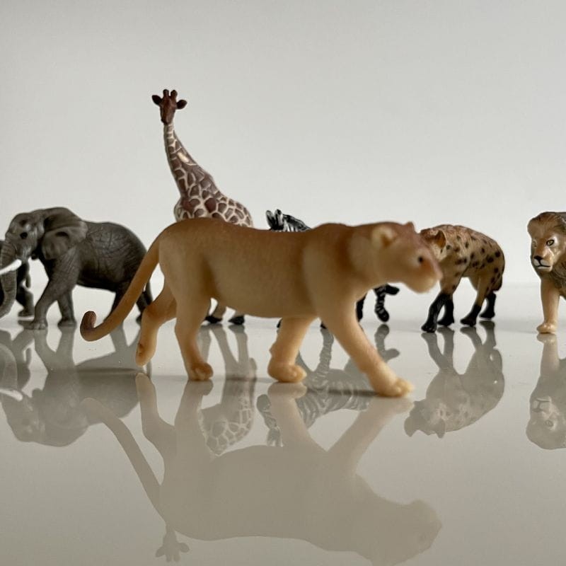 safari-figurki-Produktowe-5-polkabubu-6.jpg