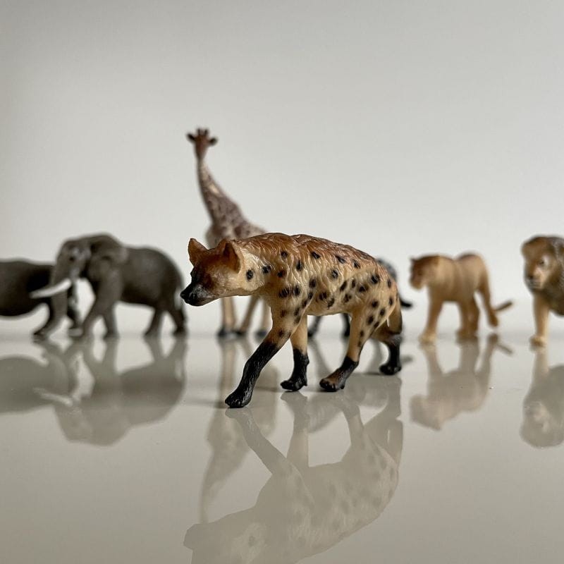 safari-figurki-Produktowe-6-polkabubu-7.jpg