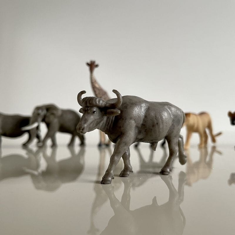 safari-figurki-Produktowe-8-polkabubu-9.jpg