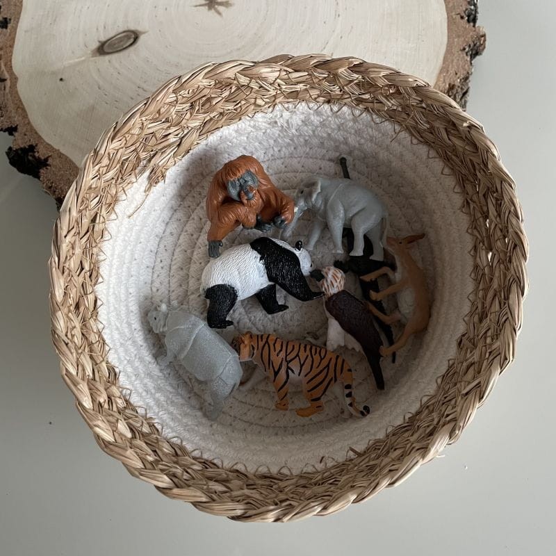 safari-figurki-Produktowe-3-polkabubu-4.jpg