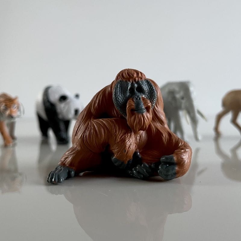 safari-figurki-Produktowe-11-polkabubu-12.jpg