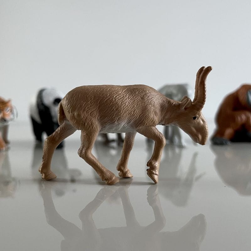 safari-figurki-Produktowe-12-polkabubu-13.jpg