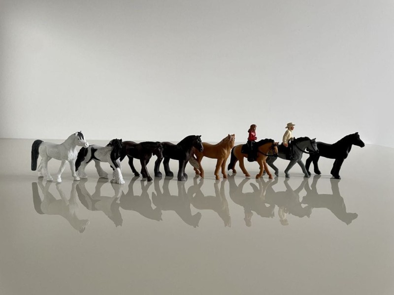safari-figurki-Dodatkowe zdjęcia-1-polkabubu-2.jpg