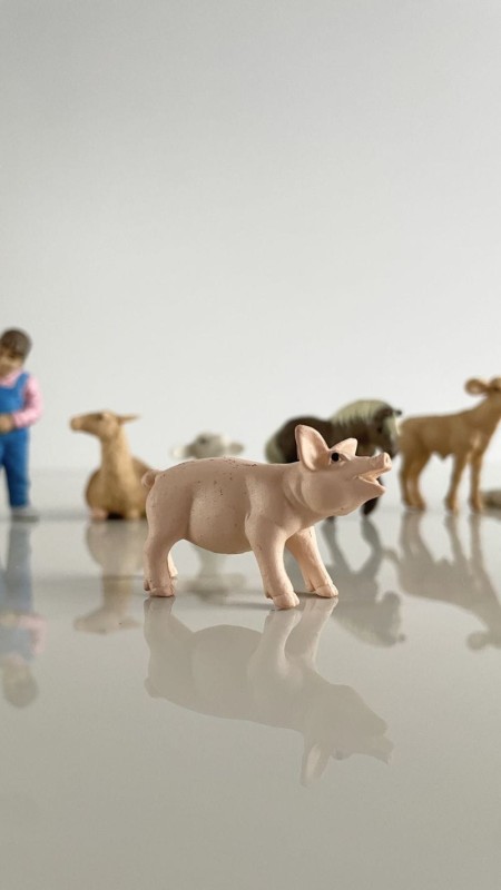 safari-figurki-Produktowe-7-polkabubu-8.jpg