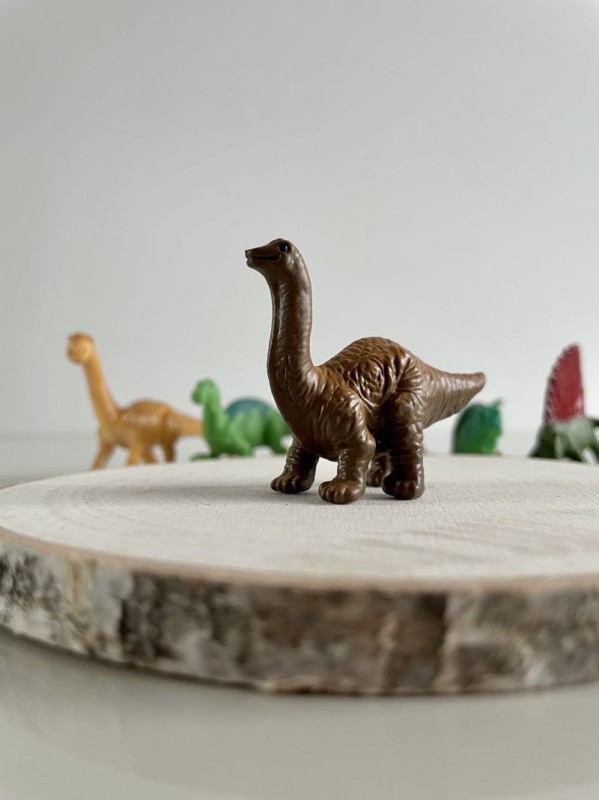 safari-figurki-Dinozaury-3-polkabubu-4.jpg