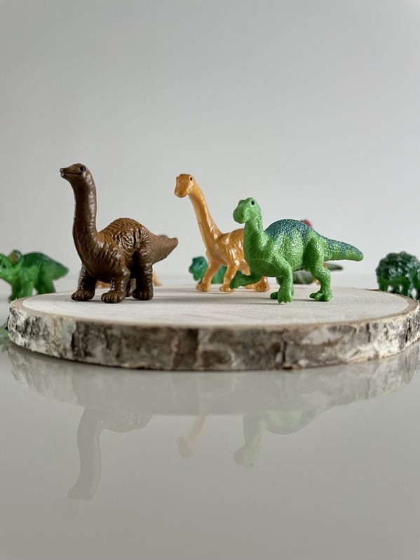 safari-figurki-Dinozaury-4-polkabubu-5.jpg