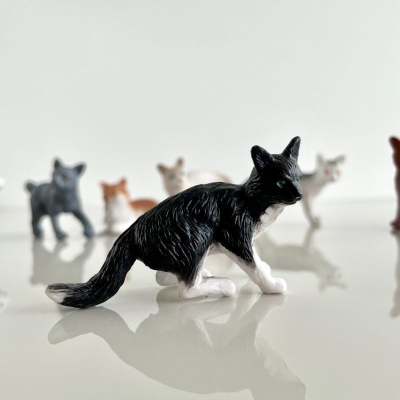 safari-figurki-Produktowe-7-polkabubu-19.jpg