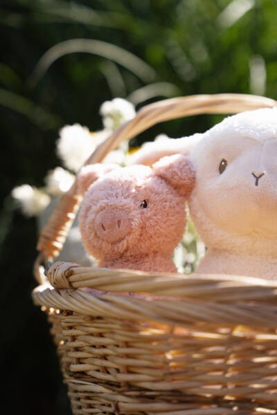Little-Dutch-Przytulanka-Owieczka-Little-Farm-25-cm-LD8834-polkabubu-6.jpg