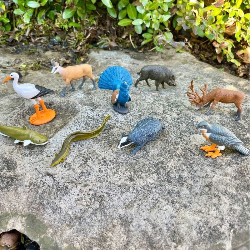 safari-zwierzeta-europy-figurki-w-tubie-polkabubu-6.jpg
