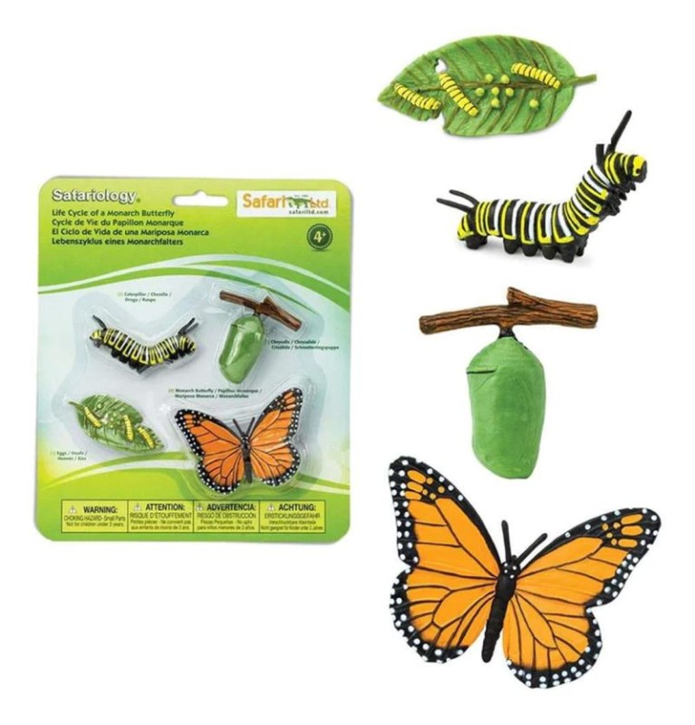 safari-Cykl-zycia-motyla-figurki-montessori-polkabubu-2.jpg