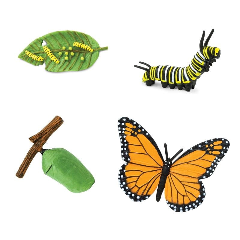 safari-Cykl-zycia-motyla-figurki-montessori-polkabubu-3.jpg