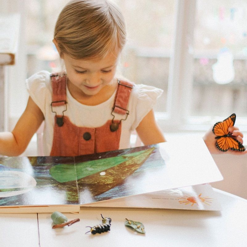 safari-Cykl-zycia-motyla-figurki-montessori-polkabubu-4.jpg