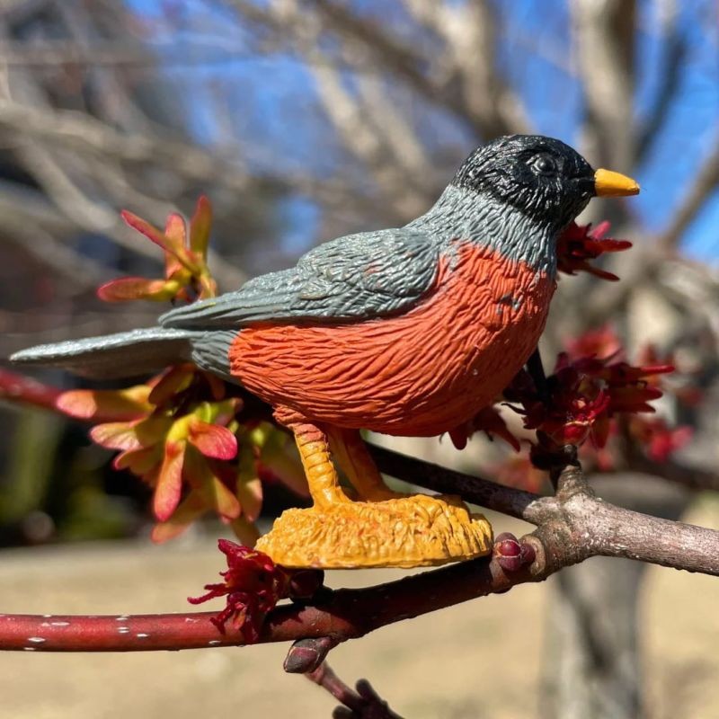 safari-ptaki-podworkowe-figurki-polkabubu-6.jpg