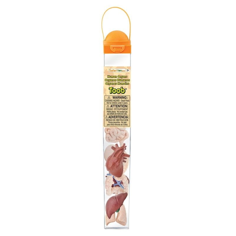 safari-figurki-montessori-narzady-czlowieka-polkabubu-2.jpg