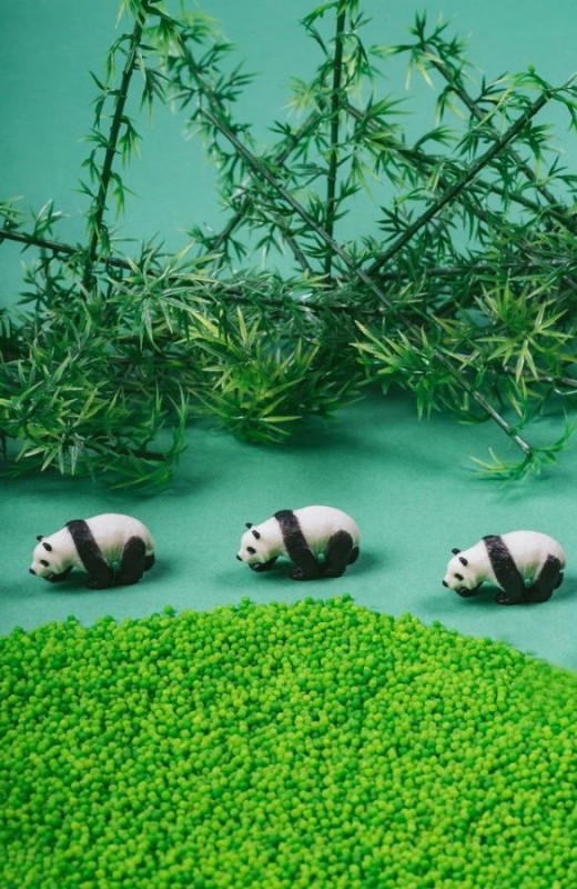 Petit-Boum-Butelka-obserwacyjna-PANDA-polkabubu-2.jpg