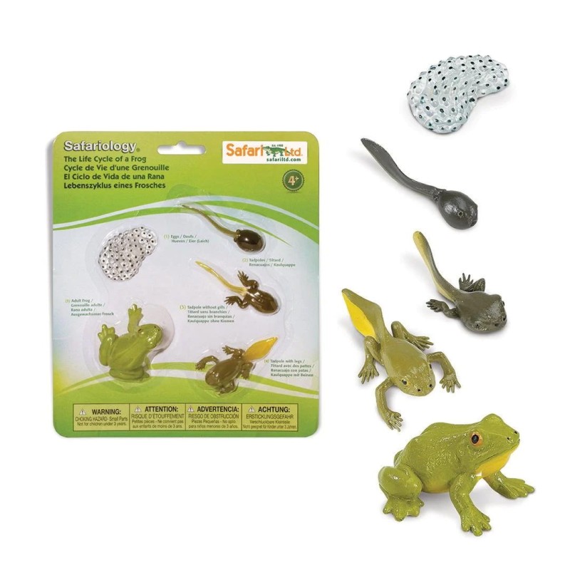 safari-cylk-zycia-zaby-kijank-figurki-polkabubu-1.jpg