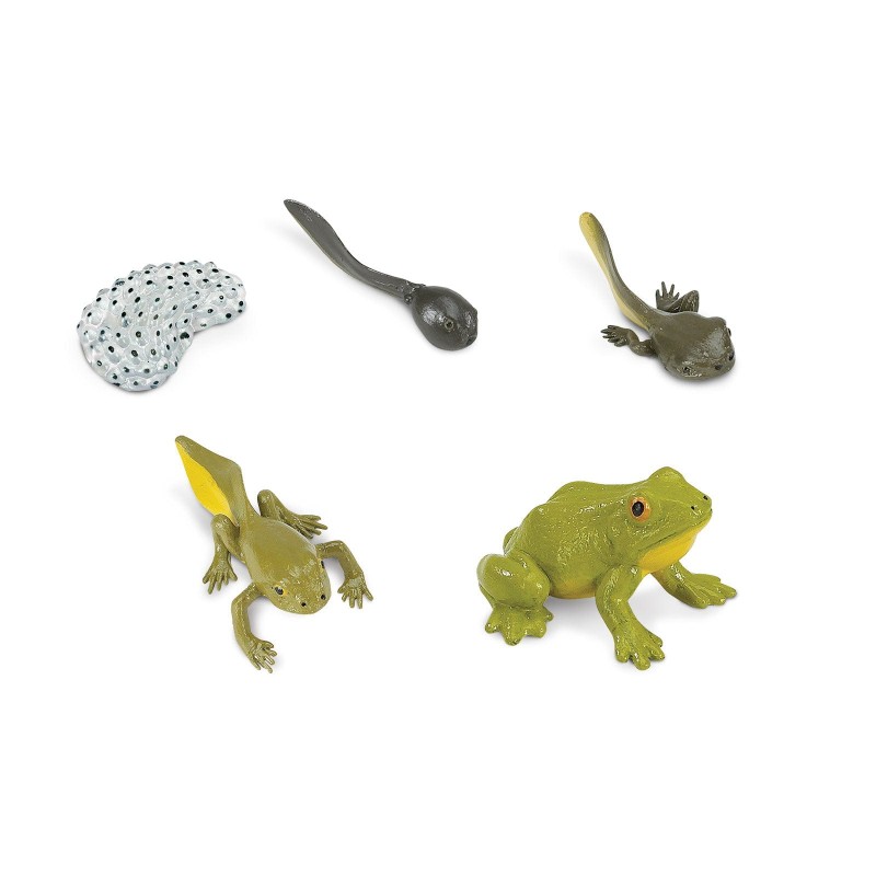 safari-cylk-zycia-zaby-kijank-figurki-polkabubu-5.jpg