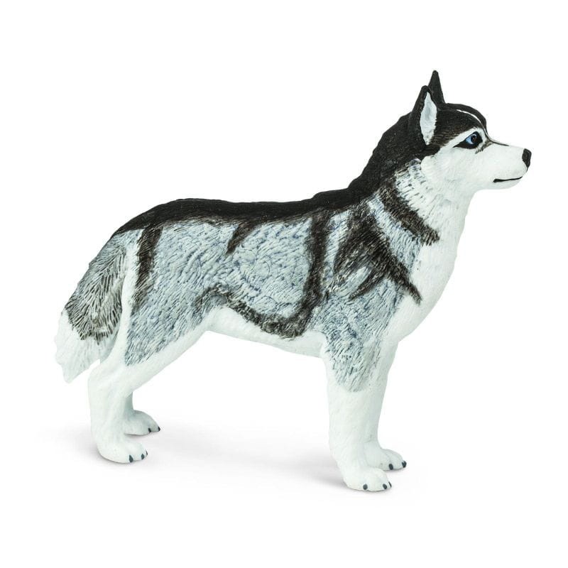 safari-figurka-psa-Husky-Syberysjki-polkabubu-1.jpg
