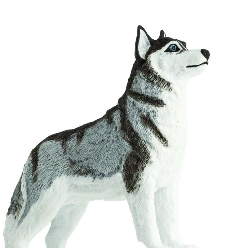safari-figurka-psa-Husky-Syberysjki-polkabubu-2.jpg