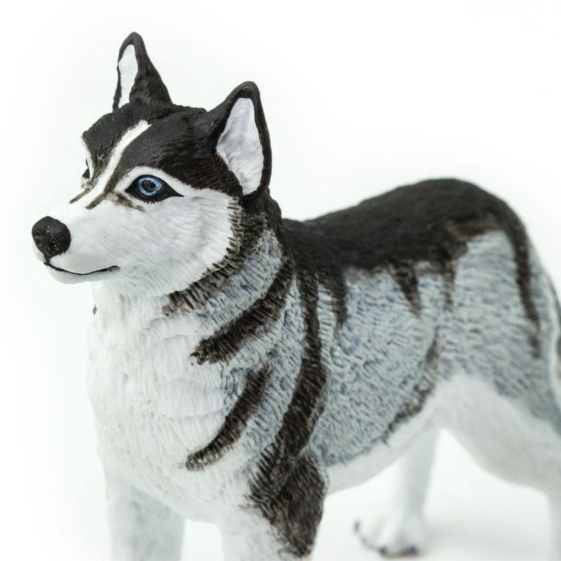 safari-figurka-psa-Husky-Syberysjki-polkabubu-5.jpg