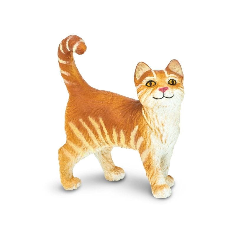 safari-przyjacielski-kot-tabby-polkabubu-1.jpg