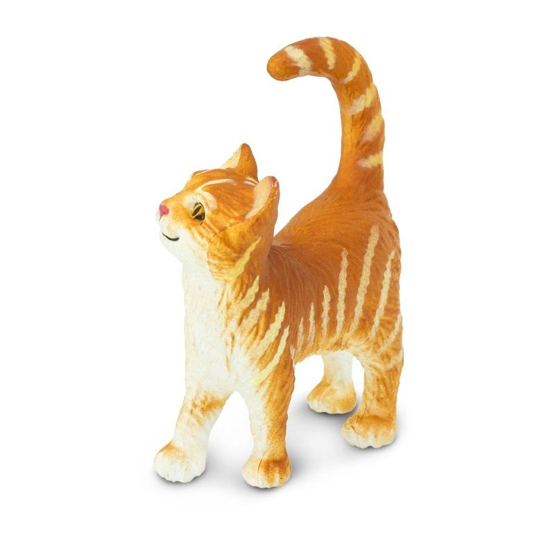 safari-przyjacielski-kot-tabby-polkabubu-2.jpg