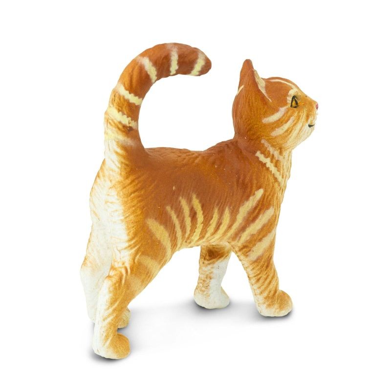 safari-przyjacielski-kot-tabby-polkabubu-3.jpg
