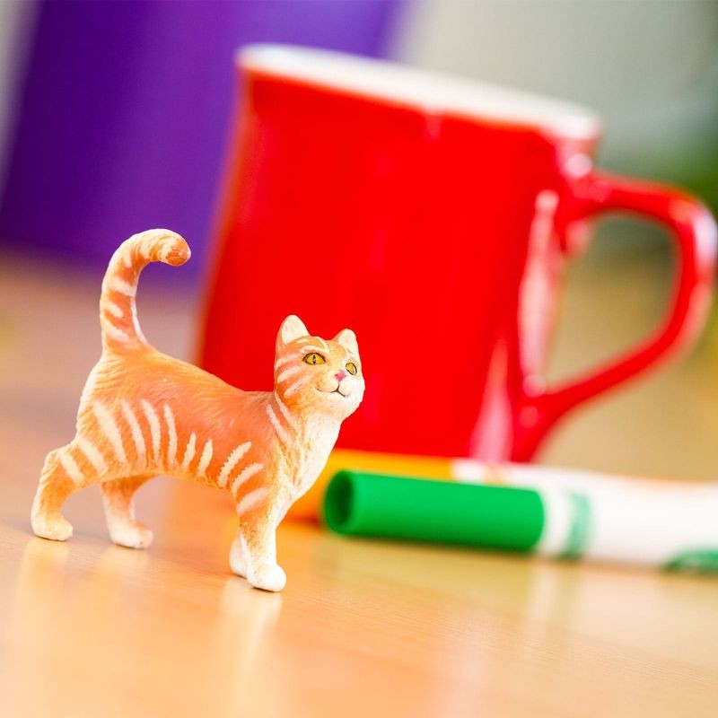 safari-przyjacielski-kot-tabby-polkabubu-4.jpg